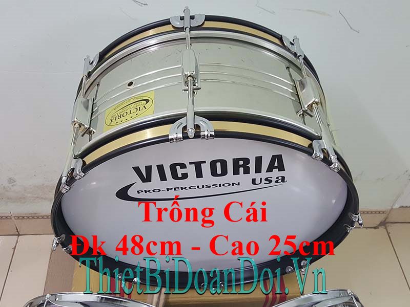 bảng giá trống đội Victoria