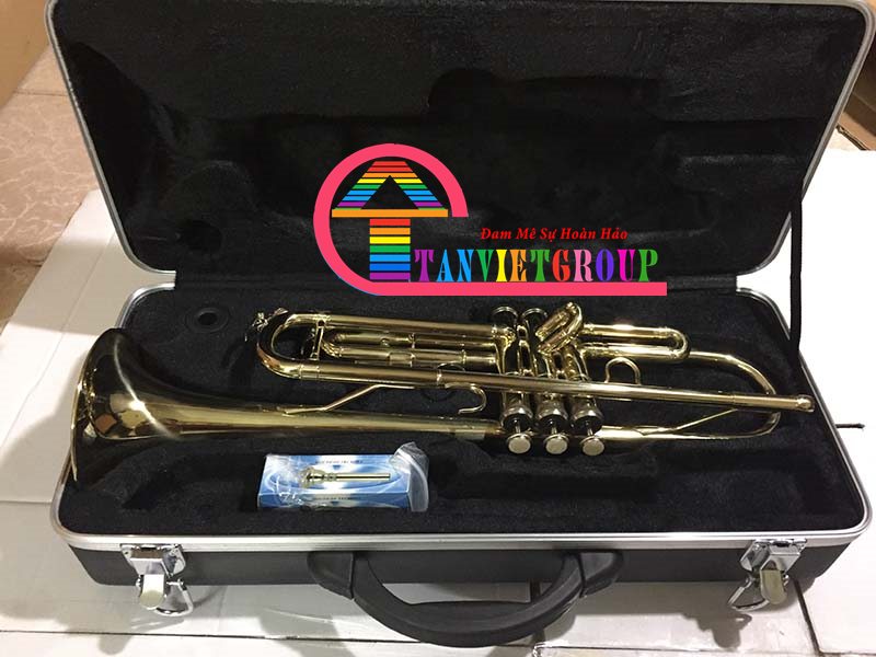 mua kèn trumpet ở đâu